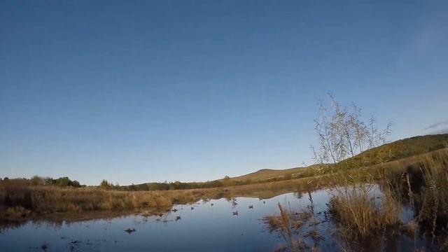 охота на уток смотреть онлайн