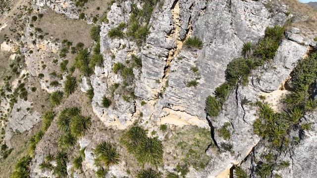BIRDS EYE // Teaser смотреть онлайн