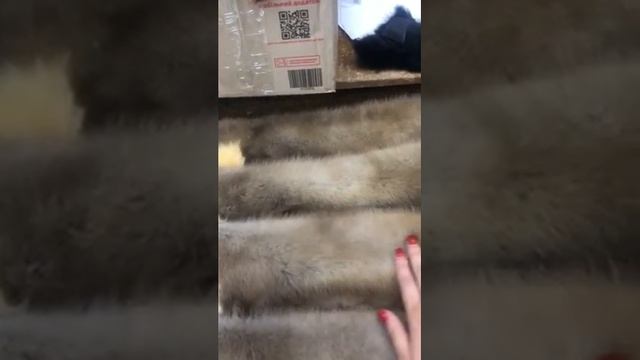 Отшиваем красоту из натурального меха куницы смотреть онлайн