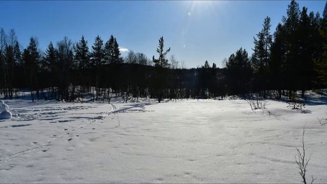 В Мурманске весна!