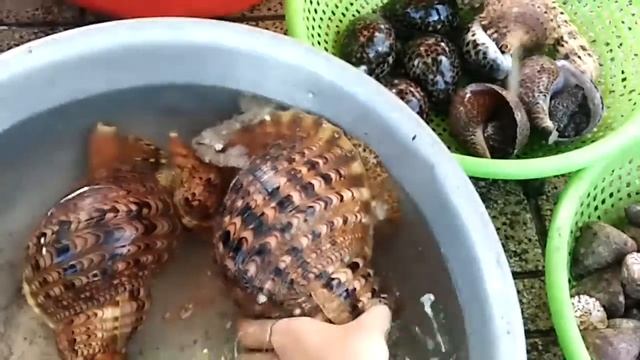 Морепродукты Нячанг Вьетнам. Очень экзотично смотреть онлайн