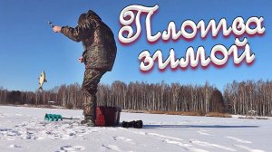 7 советов по ловле плоты зимой от эксперта. Как правильно ловить плотву зимой со льда?