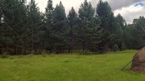 Узнаю Россию