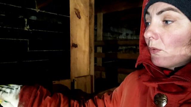 Ещё хуже.Почему козы в ошейниках.Коза может погибнуть.Опасные сараи смотреть онлайн