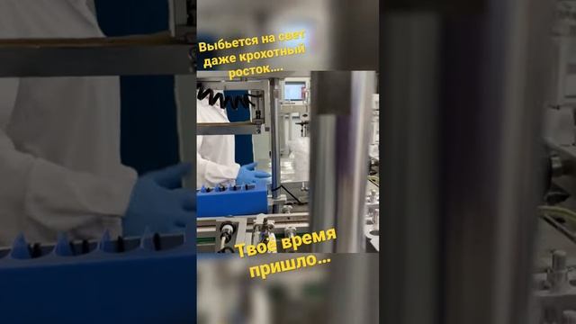 Вау ! Вы видели ?Фаберлик - производство губной помады смотреть онлайн