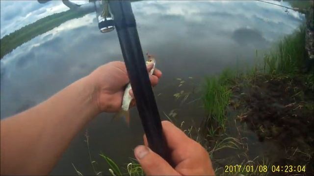 Рыбалка в Каргополе река Свидь 2019.mp4