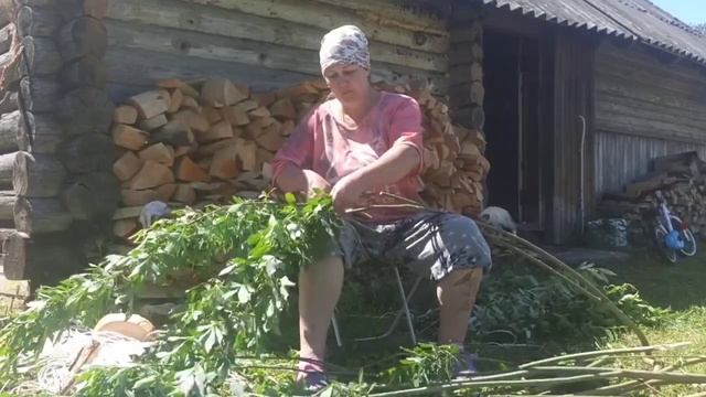 Электропастух нам в помощь/ Начало положено я только начала...Заготовка ВЕНИКОВ для козы! смотреть онлайн