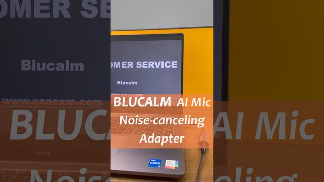 What a Customer Service staff needs? смотреть онлайн