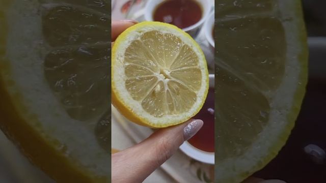 Вырастить ЛИМОН на ПОДОКОННИКЕ - РЕАЛЬНО!!! смотреть онлайн