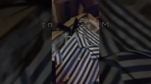 Чубатым выдали новую полевую форму.