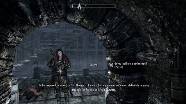 Serana Dialogue Add On: Serana Doesn't Like Riften