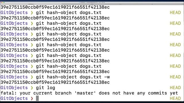 009 Retrieving Data With Git Cat File смотреть онлайн