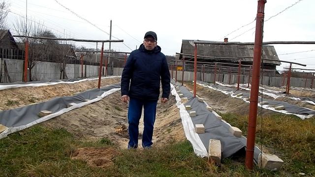 Полив винограда в зиму. Нужен? Северные регионы. смотреть онлайн