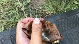 Проверка масла в 6ст. АКПП RIO и Solaris