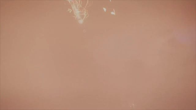 The New Intro смотреть онлайн