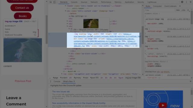 What's Coming in WordPress 5.5 смотреть онлайн