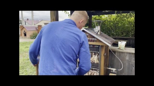 Готовим сочнейшие окорочка горячего копчения!!! смотреть онлайн