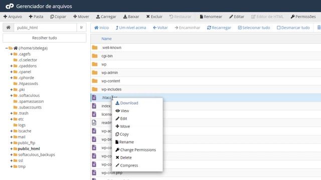 Como editar o arquivo .htaccess no cPanel? смотреть онлайн