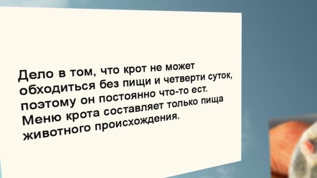 Крот в вашем огороде? смотреть онлайн