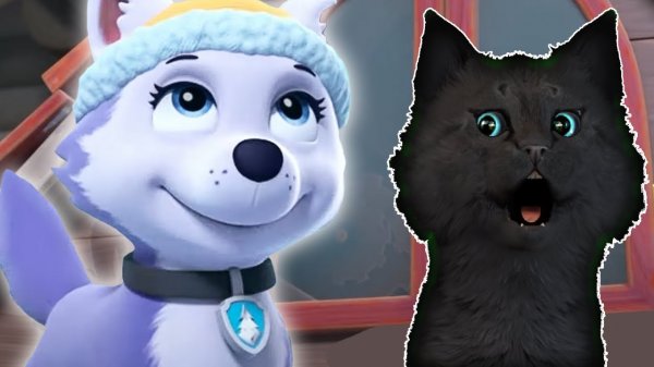 СУПЕР КОТ И СУПЕР СОБАКИ РЕМОНТИРУЕМ ЛЫЖНУЮ БАЗУ #2 ? Mighty Pups Save Adventure Bay