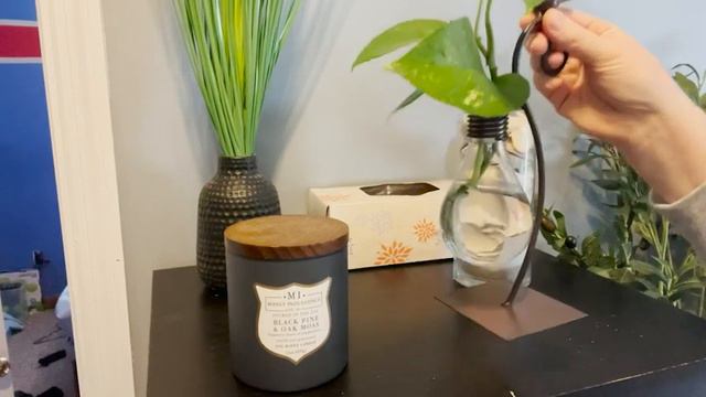 Marbrasse Desktop Glass Planter | Our Point Of View смотреть онлайн