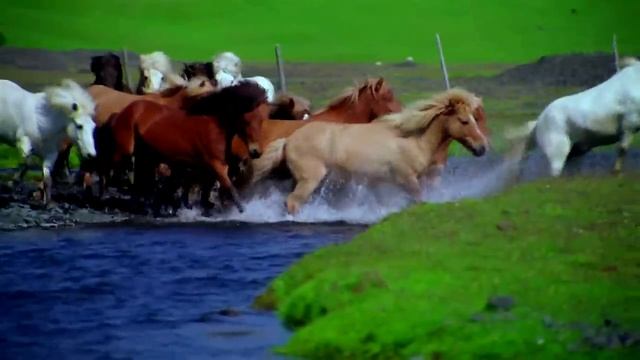 Stive Morgan (B.M.G.) - Time Of Love смотреть онлайн