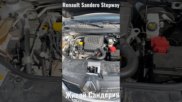 #автоподбор Renault Sandero Stepway 2019 смотреть онлайн