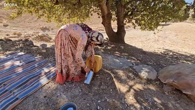 Collecting Delicious Acorns By Grandma's Family