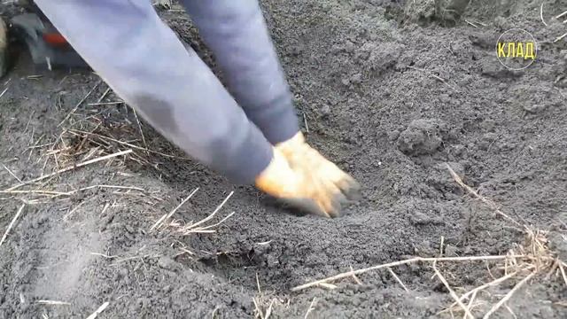 КЛАД СЕРЕБРА / РАСПАШКА РУБЛЕЙ 18 века / THE TREASURE OF SILVER смотреть онлайн