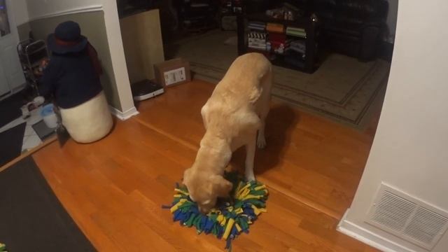 Snuffle Games #2 смотреть онлайн