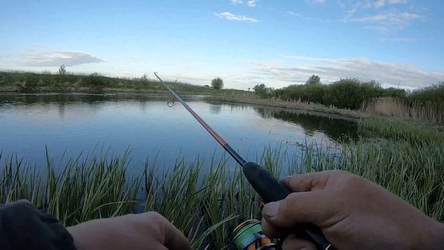 Посылка с лайтовыми воблерами TsuYoki. Минноу. Тест окунями смотреть онлайн