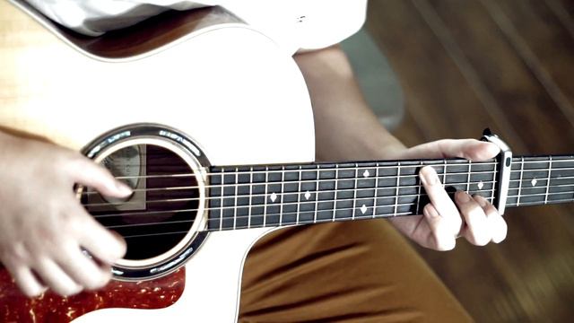 Machine Gun Kelly ft. Halsey - Forget Me Too - Fingerstyle Guitar Cover By Harry Cho смотреть онлайн