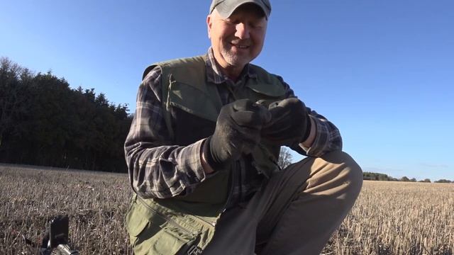 XP Deus testing the Gold Maxx Power program смотреть онлайн