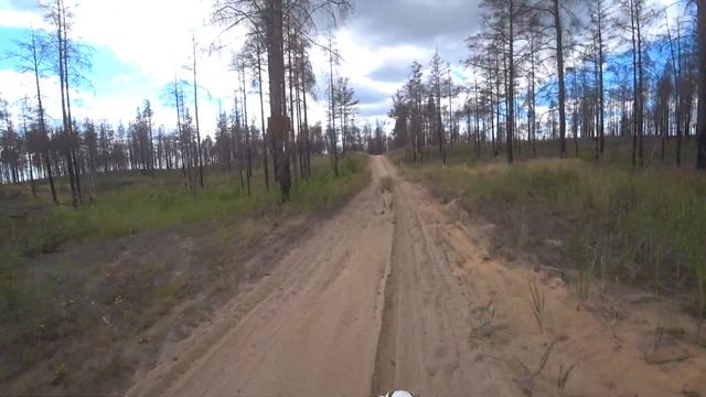 Avantis FX 250 Lux & KEWS, KayoТ4. Заехали на полигон МО. смотреть онлайн