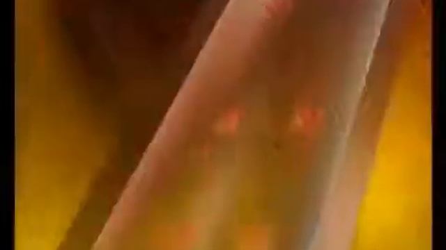 FOHOW77 Тибетскии Элексир FOHOW Саньцин. смотреть онлайн