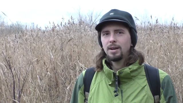 Канонерский остров - Самый остров Петербурга смотреть онлайн