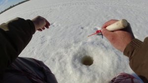 Ловля окуня на мормышку! Последний лёд! Весенняя рыбалка по последнему льду!