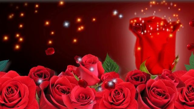 Футаж Розы HD Video Background Roses