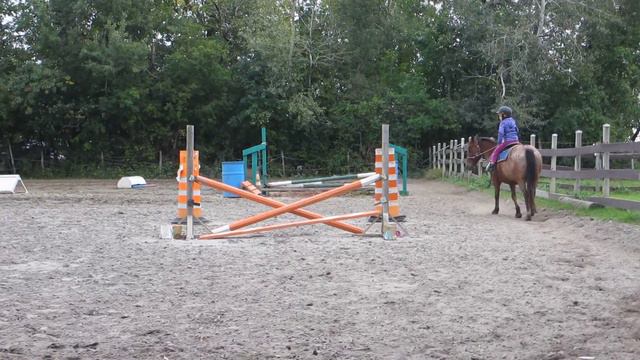 MVI 0860 смотреть онлайн