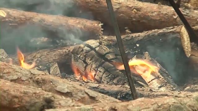 «БОЛЬШАЯ БАРД-РЫБАЛКА» смотреть онлайн