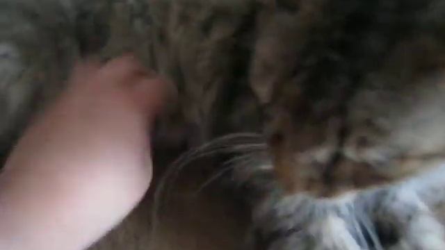 Вкусная рука нежный укус!! смотреть онлайн