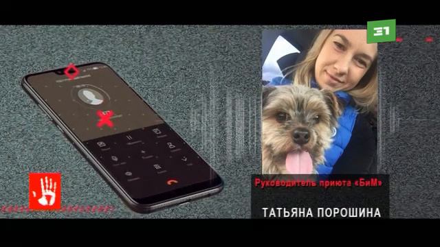 Труп мужчины найден в сосновом бору в Центральном районе Челябинска смотреть онлайн