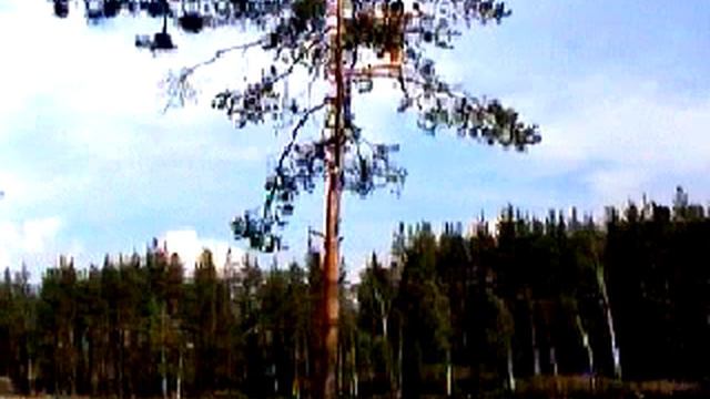 СВОБОДНОЕ ПАДЕНИЕ ТЕЛА- набор демонстрационных экспериментов смотреть онлайн