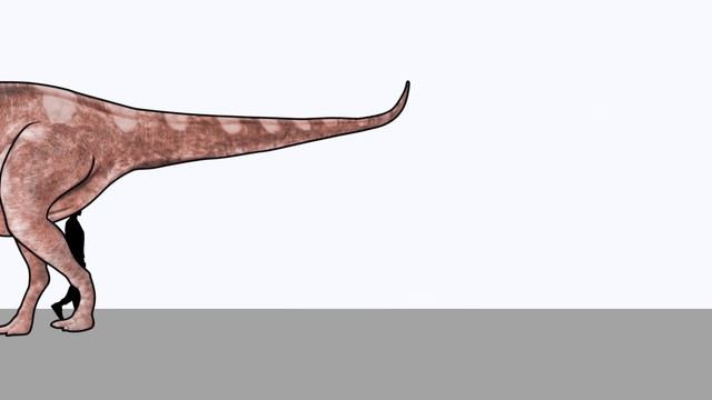 Moving Dinosaur Size Comparison 2D | Animated Size Comparison | Dinosaur Name Study
