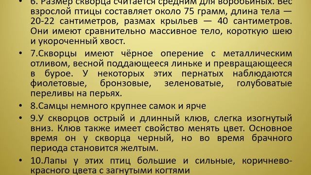 Урок 3. Скворцы прилетели смотреть онлайн