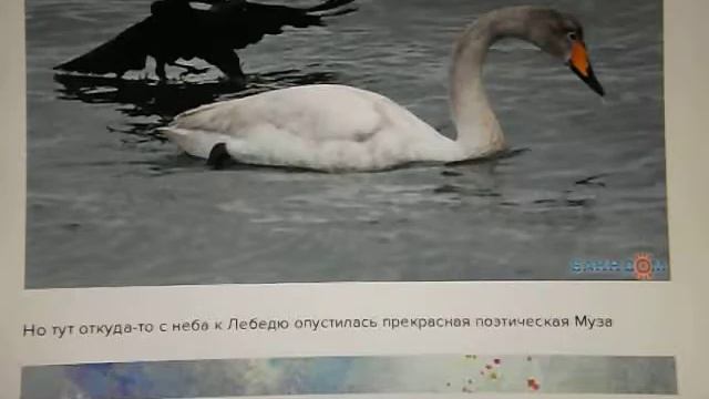 Поэтик по имени Куплетик - Детская сказка С.Воронин смотреть онлайн