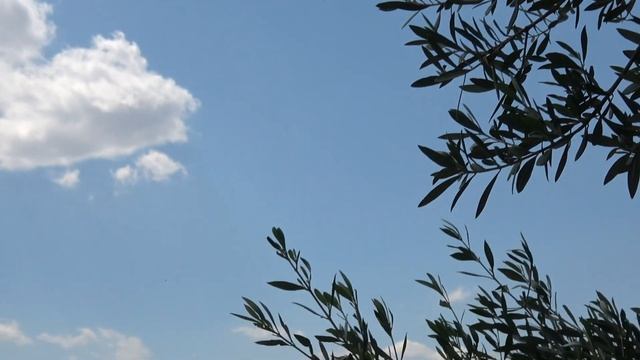 MULTINATIONAL FIGHTER JET FORMATION OVER THE ACROPOLIS ATHENS 2023 -4K смотреть онлайн