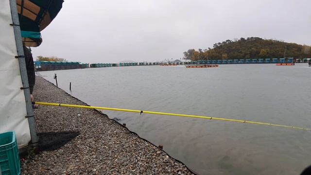 Рыбалка на морском платном водоеме. #말봉바다낚시터 #fishing смотреть онлайн