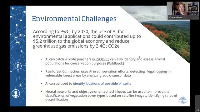 Empowering Peace AI and the Sustainable Development Goals смотреть онлайн