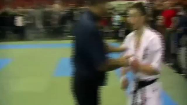 KYOKUSHIN PROFI Виктор Горн 480p смотреть онлайн
